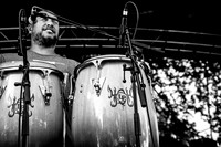 KATCHAFIRE in TAUPO, NEW ZEALAND Jan. 5, 2014