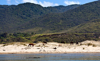 sand dunes