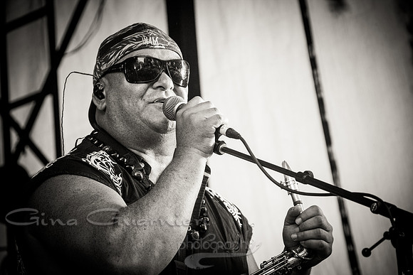 KATCHAFIRE in TAUPO, NEW ZEALAND Jan. 5, 2014