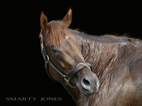 SMARTY JONES