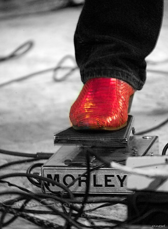 Billy Hector Band