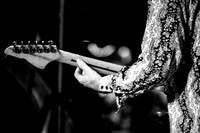 Billy Hector Band