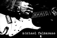 Michael Falzarano