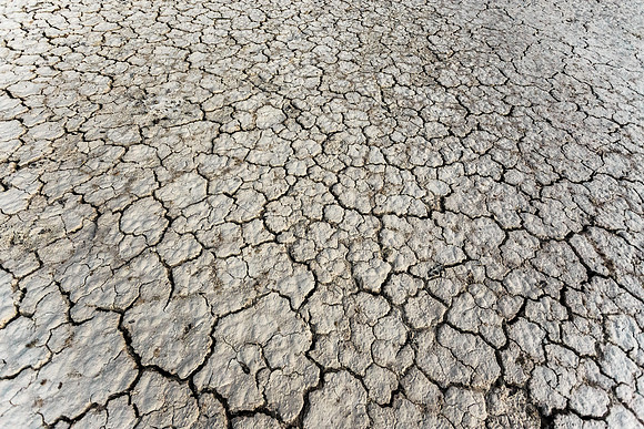 Earth