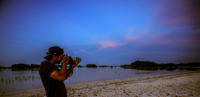 Dino Shooting Birds