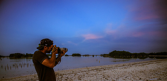 Dino Shooting Birds