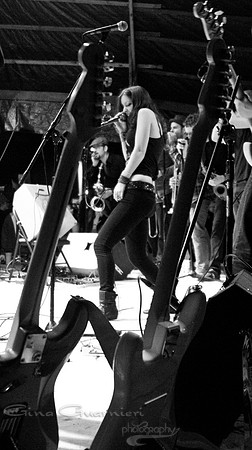 Sister Sparrow and the Dirty Birds