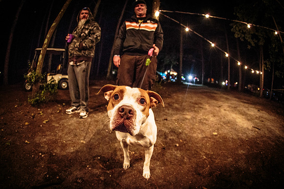 DOGS of CAMP JAM in the PINES-A LOOK BARK 2003-2017