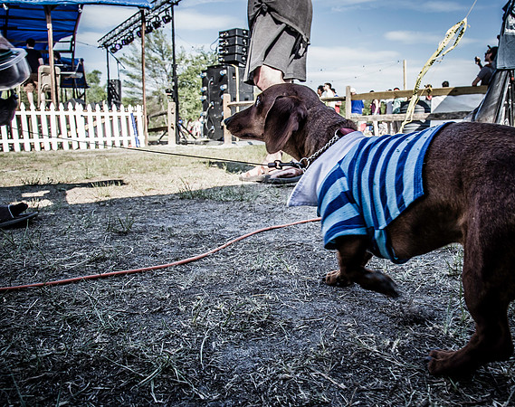 DOGS of CAMP JAM in the PINES-A LOOK BARK 2003-2017
