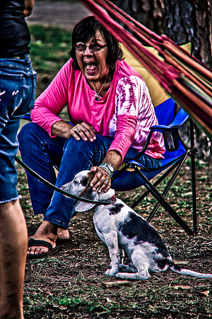 DOGS of CAMP JAM in the PINES-A LOOK BARK 2003-2017