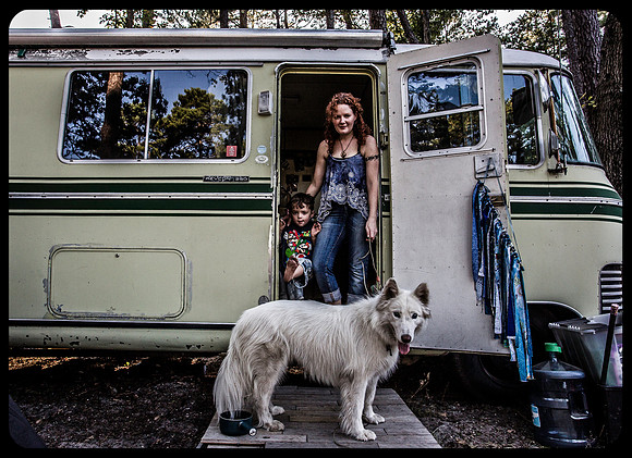 DOGS of CAMP JAM in the PINES-A LOOK BARK 2003-2017