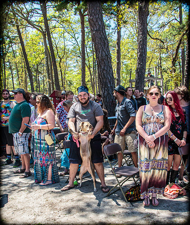 DOGS of CAMP JAM in the PINES-A LOOK BARK 2003-2017