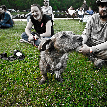 DOGS of CAMP JAM in the PINES-A LOOK BARK 2003-2017
