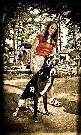 DOGS of CAMP JAM in the PINES-A LOOK BARK 2003-2017
