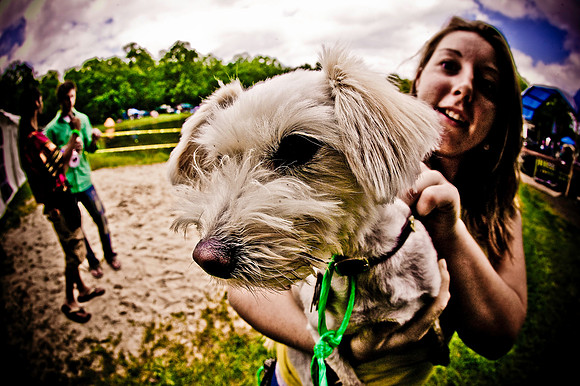 DOGS of CAMP JAM in the PINES-A LOOK BARK 2003-2017