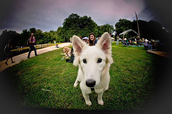 DOGS of CAMP JAM in the PINES-A LOOK BARK 2003-2017