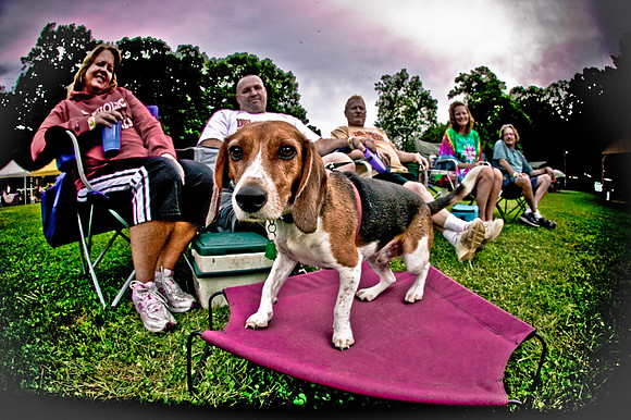 DOGS of CAMP JAM in the PINES-A LOOK BARK 2003-2017