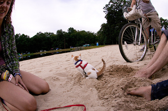DOGS of CAMP JAM in the PINES-A LOOK BARK 2003-2017