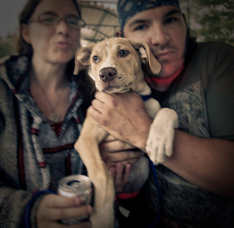 DOGS of CAMP JAM in the PINES-A LOOK BARK 2003-2017