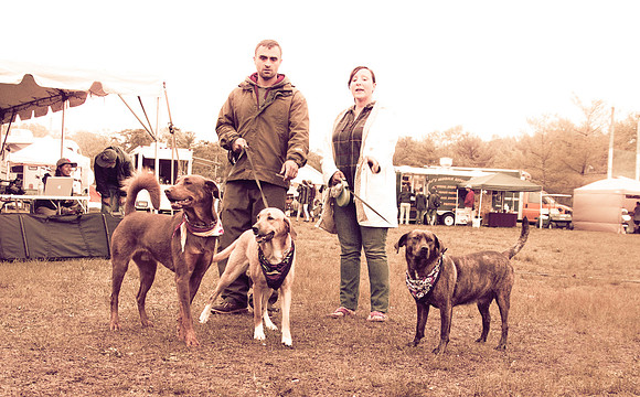 DOGS of CAMP JAM in the PINES-A LOOK BARK 2003-2017