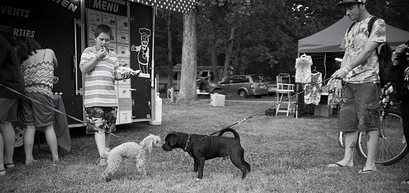 DOGS of CAMP JAM in the PINES-A LOOK BARK 2003-2017