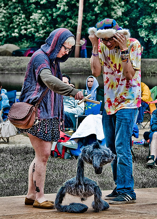 DOGS of CAMP JAM in the PINES-A LOOK BARK 2003-2017