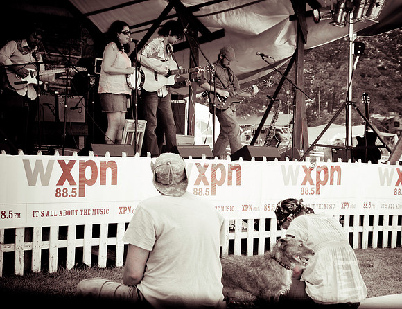 DOGS of CAMP JAM in the PINES-A LOOK BARK 2003-2017
