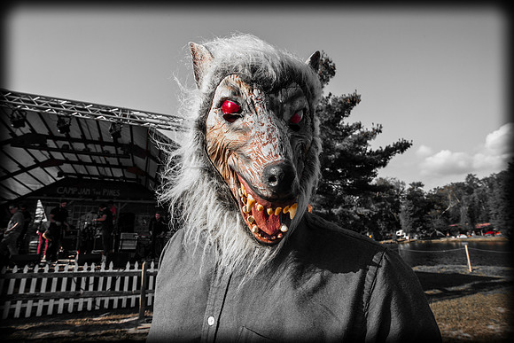 DOGS of CAMP JAM in the PINES-A LOOK BARK 2003-2017