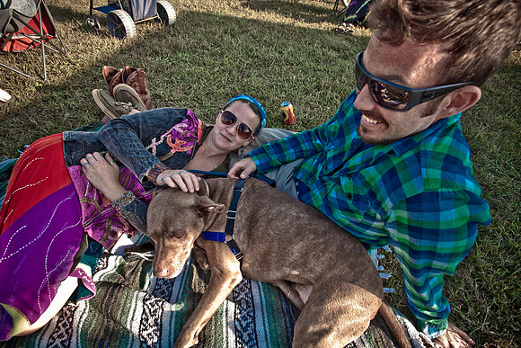 DOGS of CAMP JAM in the PINES-A LOOK BARK 2003-2017