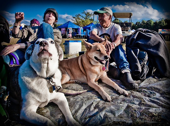 DOGS of CAMP JAM in the PINES-A LOOK BARK 2003-2017