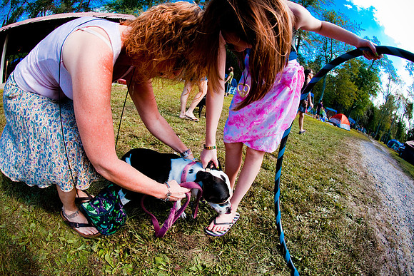 DOGS of CAMP JAM in the PINES-A LOOK BARK 2003-2017