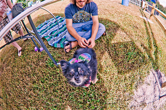DOGS of CAMP JAM in the PINES-A LOOK BARK 2003-2017