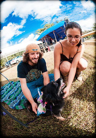 DOGS of CAMP JAM in the PINES-A LOOK BARK 2003-2017