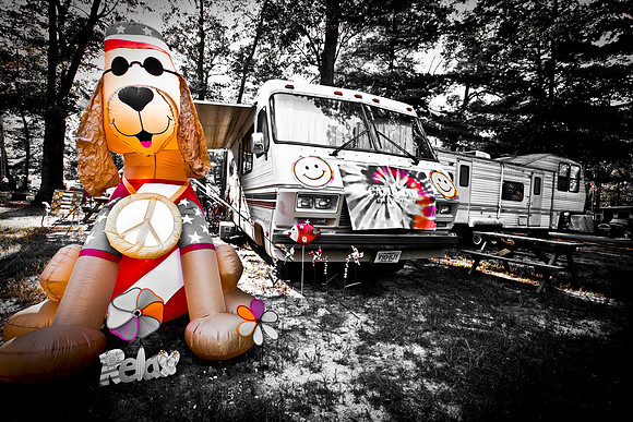 DOGS of CAMP JAM in the PINES-A LOOK BARK 2003-2017