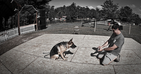 DOGS of CAMP JAM in the PINES-A LOOK BARK 2003-2017