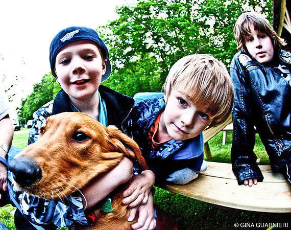 DOGS of CAMP JAM in the PINES-A LOOK BARK 2003-2017