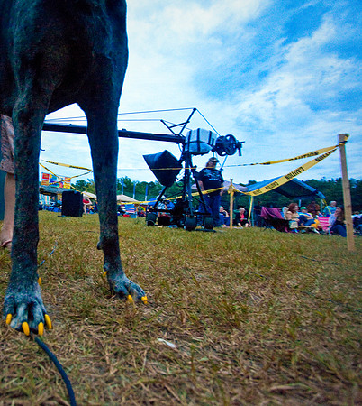 DOGS of CAMP JAM in the PINES-A LOOK BARK 2003-2017