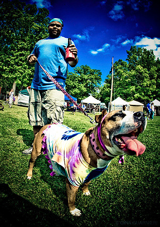 DOGS of CAMP JAM in the PINES-A LOOK BARK 2003-2017