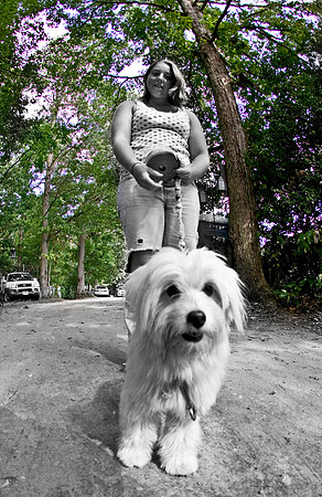 DOGS of CAMP JAM in the PINES-A LOOK BARK 2003-2017