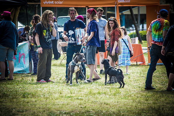 DOGS of CAMP JAM in the PINES-A LOOK BARK 2003-2017