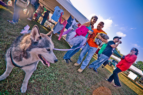 DOGS of CAMP JAM in the PINES-A LOOK BARK 2003-2017
