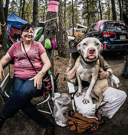 DOGS of CAMP JAM in the PINES-A LOOK BARK 2003-2017