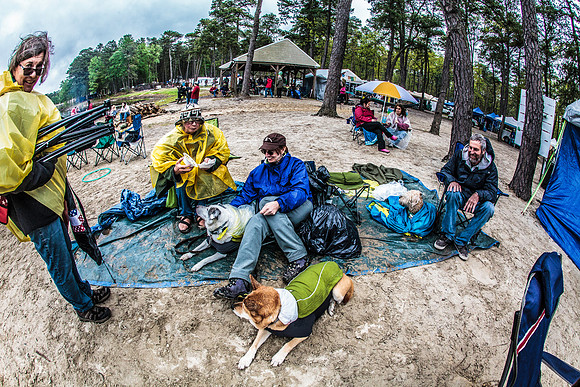 DOGS of CAMP JAM in the PINES-A LOOK BARK 2003-2017