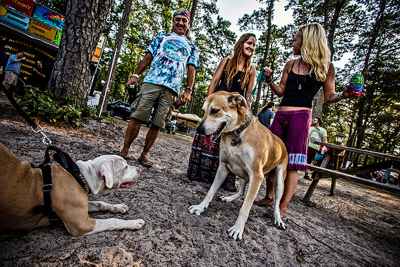 DOGS of CAMP JAM in the PINES-A LOOK BARK 2003-2017