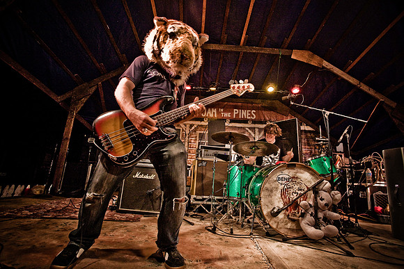 DOGS of CAMP JAM in the PINES-A LOOK BARK 2003-2017