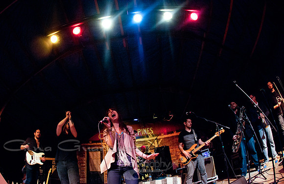 Sister Sparrow and the Dirty Birds