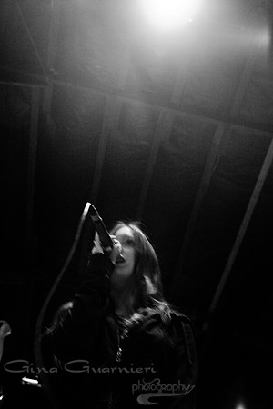 Sister Sparrow and the Dirty Birds