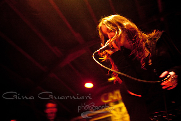 Sister Sparrow and the Dirty Birds